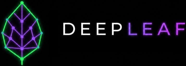 Deep Leaf logo